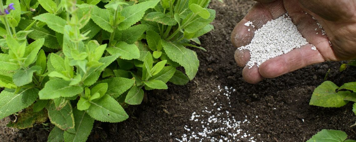 Garden fertilizer