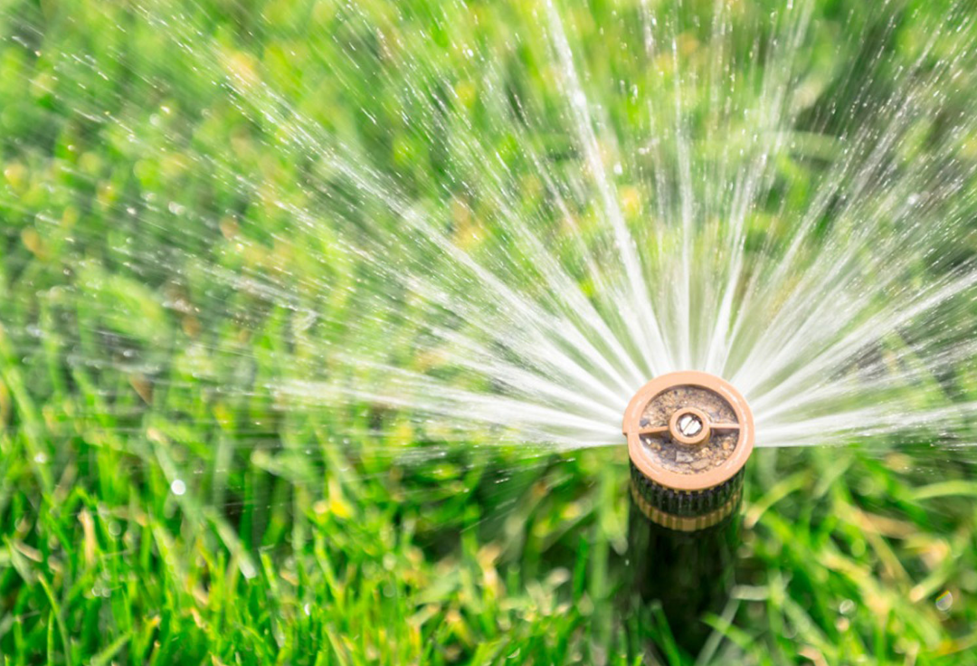 automatic sprinkler