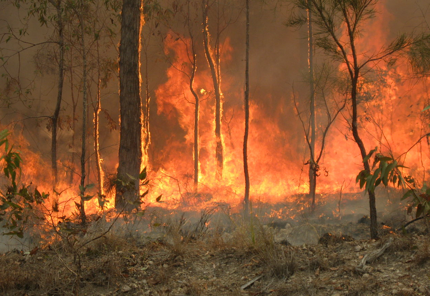 Bushfire management consultants 