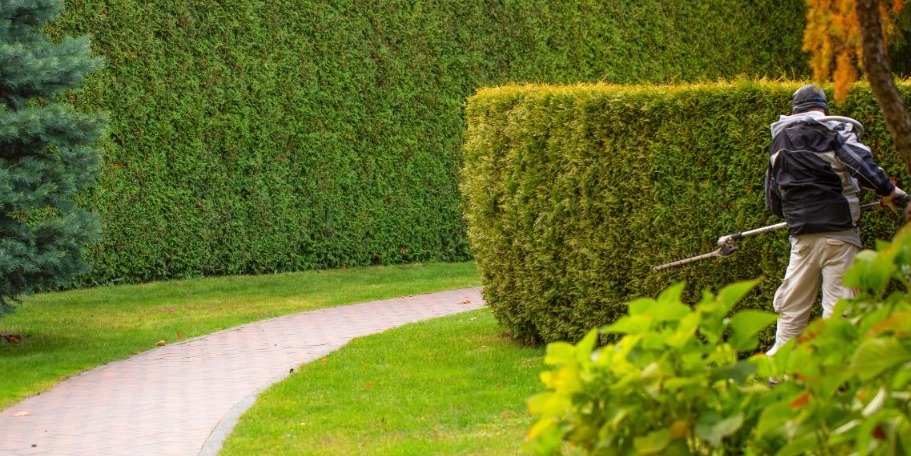 The main concept of hedge trimming rodney is to nurture healthy, vibrant greenery that enhances the beauty of your property. Click here to read more about it!