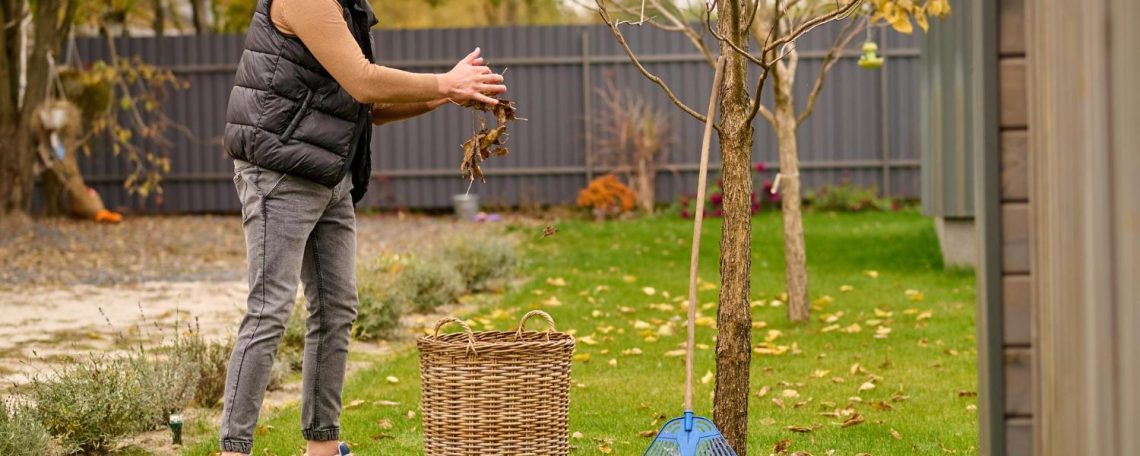 expert garden maintenance